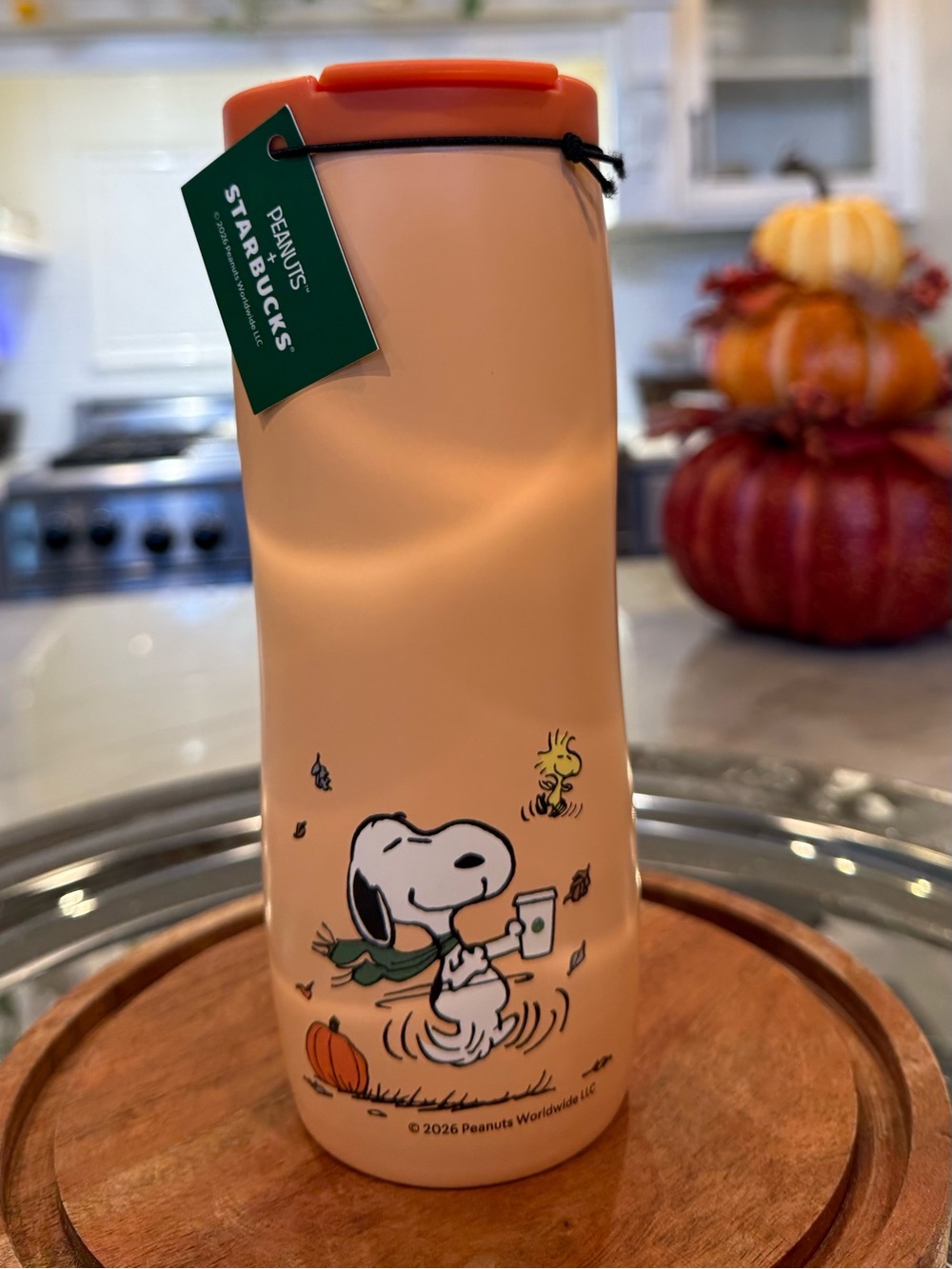 Authentic Starbucks x Peanuts Snoopy & Woodstock Orange Pumpkin Tumbler NWT